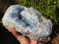 Natural Blue Celestite Geode Specimen  x 1 From Sakoany, Madagascar