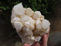 Natural Cathedral Window Etched Candle Quartz Clusters  x 2 From Ambatondrazaka, Madagascar - TopRock