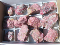 Natural Rhodonite Cobbed Pieces x 12 From Zimbabwe - TopRock