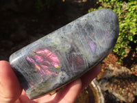 Polished Rare Purple Flash Labradorite Standing Free Forms x 3 From Tulear, Madagascar