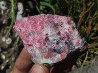 Natural Rhodonite Cobbed Pieces x 12 From Zimbabwe - TopRock