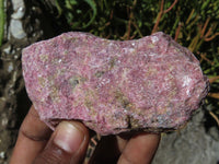 Natural Rhodonite Cobbed Pieces x 12 From Zimbabwe - TopRock