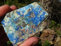 Natural Azurite & Malachite On Dolomite Specimens  x 12 From Kaokoveld, Namibia - Toprock Gemstones and Minerals 