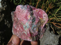 Natural Rhodonite Cobbed Pieces x 12 From Zimbabwe - TopRock