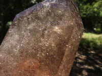 Polished Large Smokey Quartz Points  x 2 From Madagascar - TopRock