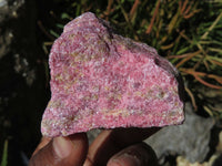 Natural Rhodonite Cobbed Pieces x 12 From Zimbabwe - TopRock