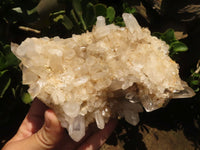 Natural Quartz Clusters With Long Clear Crystals  x 3 From Madagascar - TopRock