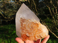 Polished Half & Half Natural Arcadian Angolan Quartz Crystal x 1 From Angola - TopRock