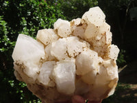 Natural Cathedral Window Etched Candle Quartz Clusters  x 2 From Ambatondrazaka, Madagascar - TopRock