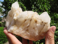 Natural Cathedral Window Etched Candle Quartz Clusters  x 2 From Ambatondrazaka, Madagascar - TopRock