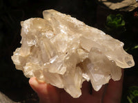 Natural Quartz Clusters With Long Clear Crystals  x 3 From Madagascar - TopRock