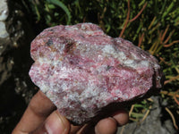 Natural Rhodonite Cobbed Pieces x 12 From Zimbabwe - TopRock