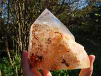 Polished Half & Half Natural Arcadian Angolan Quartz Crystal x 1 From Angola - TopRock