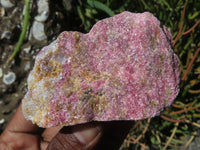 Natural Rhodonite Cobbed Pieces x 12 From Zimbabwe - TopRock