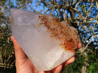 Polished Half & Half Natural Arcadian Angolan Quartz Crystal x 1 From Angola - TopRock