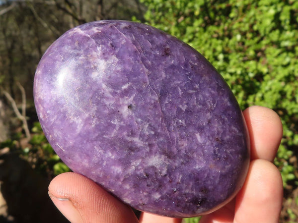 Polished Purple Lepidolite Palm Stones  x 6 From Zimbabwe