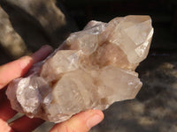 Natural Cascading Smokey Quartz Clusters x 3 From Luena, Congo