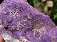 Natural Selected Purpurite Cobbed Specimens  x 12 From Namibia - TopRock