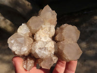 Natural Cascading Smokey Quartz Clusters x 3 From Luena, Congo