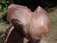 Natural Red Hematite Quartz Crystal Specimens x 6 From Karoi, Zimbabwe - TopRock