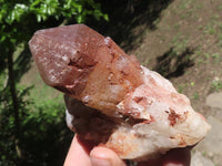 Natural Red Hematite Quartz Crystal Specimens x 6 From Karoi, Zimbabwe - TopRock