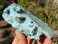 Natural Drusy Coated Chrysocolla & Malachite Dolomite Specimens x 6 From Congo