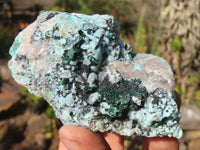 Natural Drusy Coated Chrysocolla & Malachite Dolomite Specimens x 6 From Congo