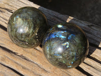 Polished Labradorite Spheres  x 2 From Tulear, Madagascar