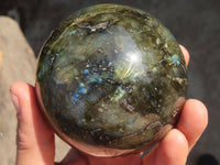 Polished Labradorite Spheres  x 2 From Tulear, Madagascar