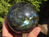 Polished Labradorite Spheres  x 2 From Tulear, Madagascar