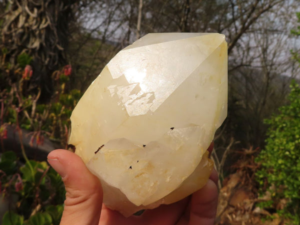 Natural Large White Quartz Crystals  x 3 From Madagascar