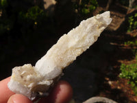 Natural Fluorescent Drusy Quartz Coated Spearhead Calcite Crystals x 12 From Alberts Mountain, Lesotho