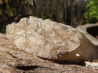 Natural Fluorescent Drusy Quartz Coated Spearhead Calcite Crystals x 12 From Alberts Mountain, Lesotho