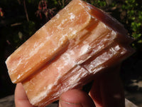 Natural New Sunset Orange Calcite Specimens  x 12 From Spitzkop, Namibia