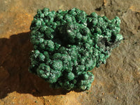 Natural Gorgeous Crystalline Botryoidal Malachite Specimens  x 4 From Kambove, Congo - Toprock Gemstones and Minerals 