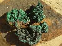 Natural Gorgeous Crystalline Botryoidal Malachite Specimens  x 4 From Kambove, Congo - Toprock Gemstones and Minerals 