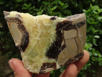 Polished Septaria (Calcite & Aragonite) Slices  x 4 From Madagascar - TopRock