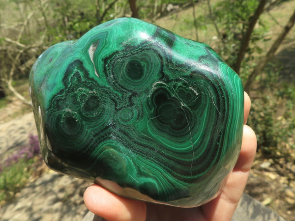 Polished Malachite Free Forms With Stunning Flower & Banding Patterns x 2 From Kolwezi, Congo - TopRock