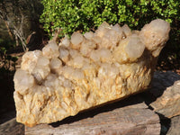 Natural XXXL Cascading White Phantom Smokey Quartz Cluster x 1 From Luena, Congo