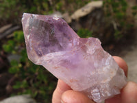 Natural Jacaranda Amethyst Crystals x 35 From Zambia