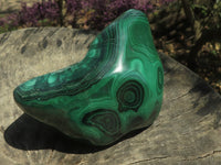 Polished Malachite Free Forms With Stunning Flower & Banding Patterns x 2 From Kolwezi, Congo - TopRock