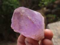 Natural Jacaranda Amethyst Crystals x 35 From Zambia