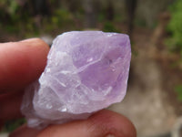 Natural Jacaranda Amethyst Crystals x 35 From Zambia