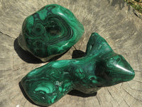 Polished Malachite Free Forms With Stunning Flower & Banding Patterns x 2 From Kolwezi, Congo - TopRock