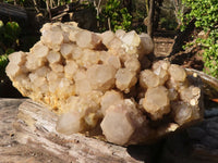 Natural XXXL Cascading White Phantom Smokey Quartz Cluster x 1 From Luena, Congo