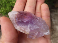 Natural Jacaranda Amethyst Crystals x 35 From Zambia