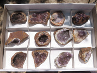 Natural Dark Amethyst Crystal Geodes & Plates  x 12 From Zululand, South Africa - TopRock