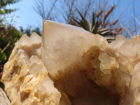 Natural XXXL Cascading White Phantom Smokey Quartz Cluster x 1 From Luena, Congo