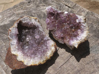 Natural Dark Amethyst Crystal Geodes & Plates  x 12 From Zululand, South Africa - TopRock