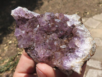 Natural Dark Amethyst Crystal Geodes & Plates  x 12 From Zululand, South Africa - TopRock